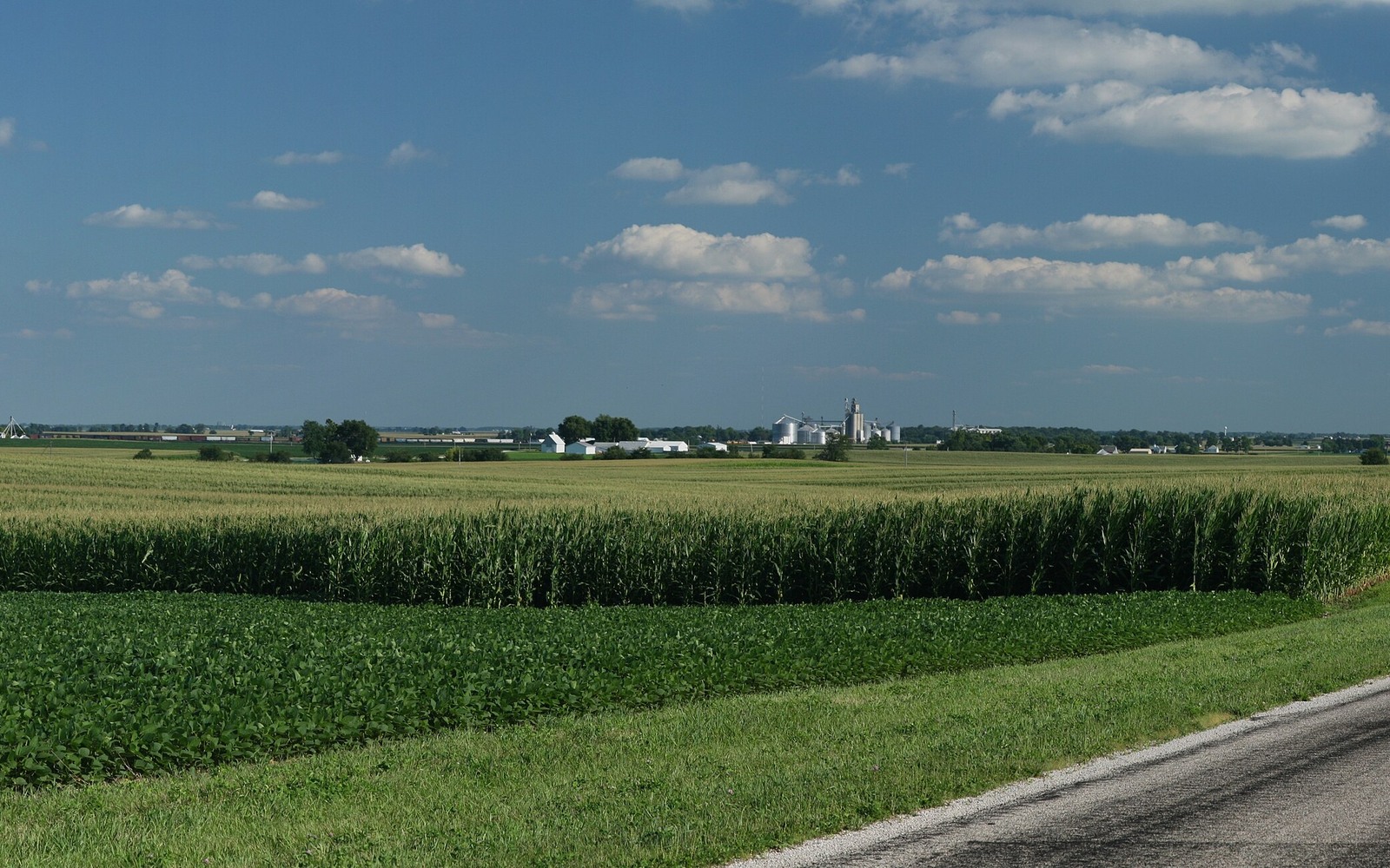 Sell Mineral Rights in Illinois